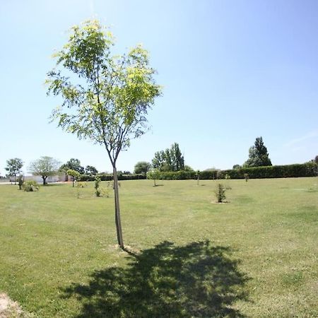 Appartement A 10Km De La Grande Motte, Palavas... Lunel  Buitenkant foto