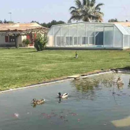 Appartement A 10Km De La Grande Motte, Palavas... Lunel  Buitenkant foto